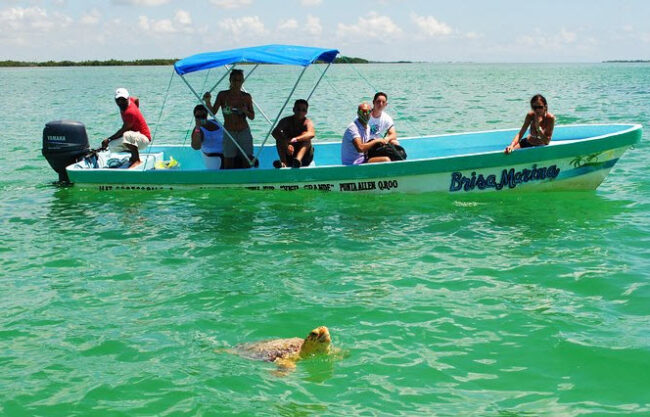 Explore the Sian Ka’an Biosphere - Things to do in Tulum MX