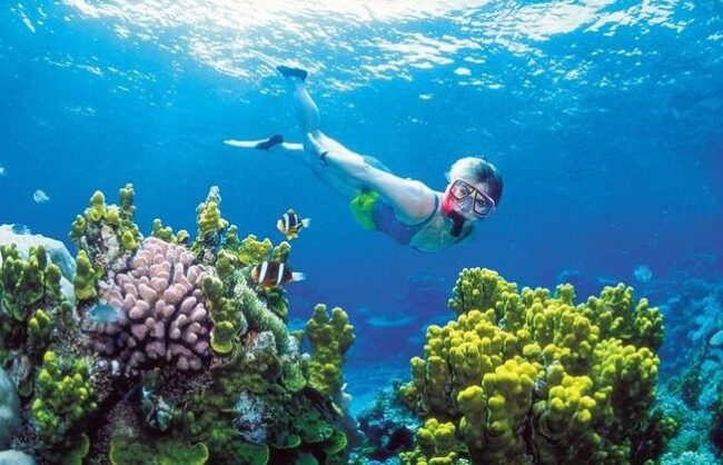 Snorkeling and Diving in Cancun