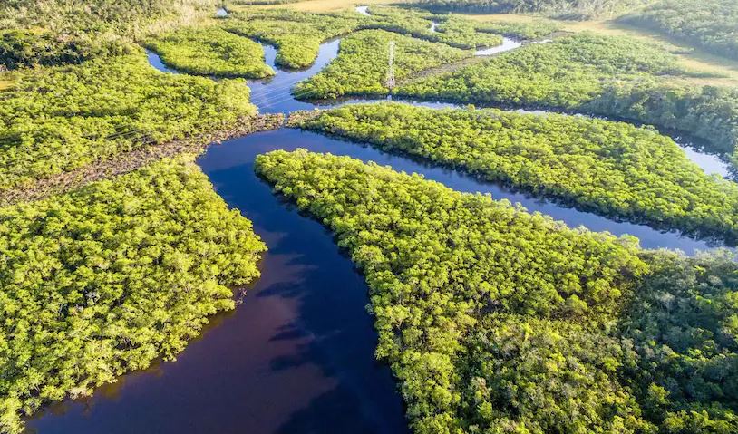 Manaus Brazil - Amazon Rainforest travel destinations