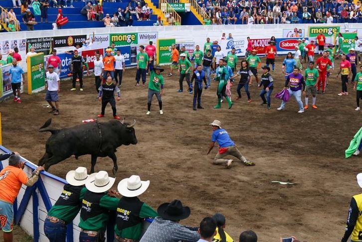 ullfighting Tica - Palmares festival guide