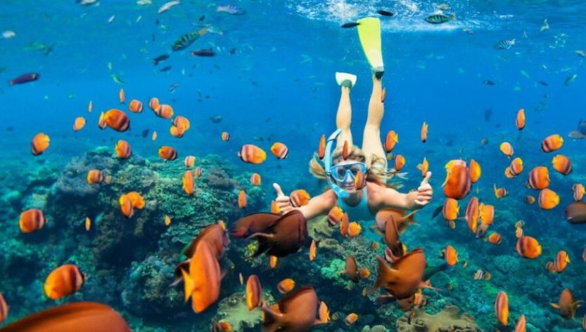 Caño Island Biological Reserve Snorkeling Wonderland