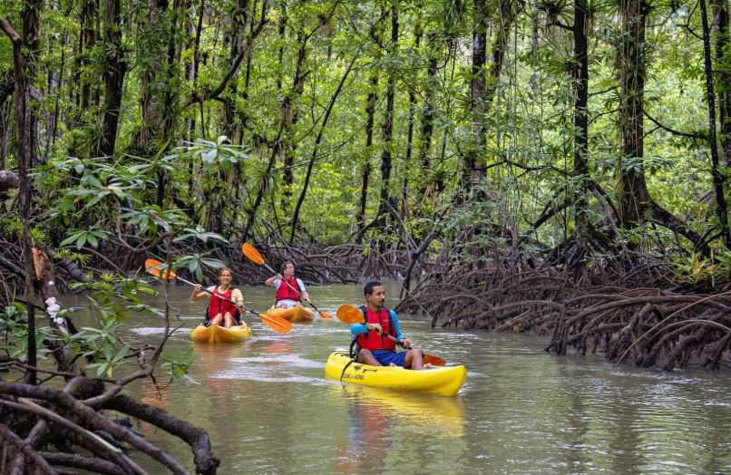 Golfo Dulce kayaking tours 2