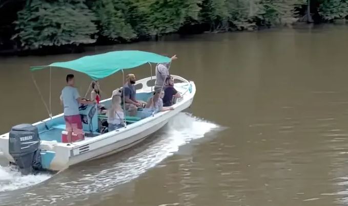 Osa Peninsula marine tours - Boat Cruises along the Esquinas River and Golfo Dulce Osa Peninsula costa rica