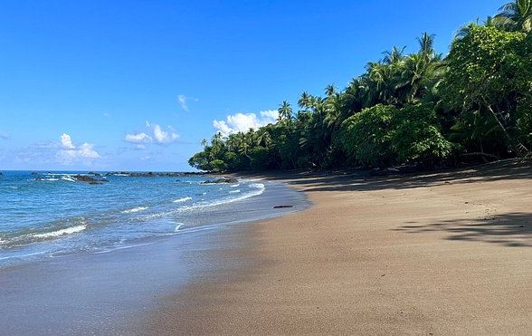 Osa Peninsula marine tours