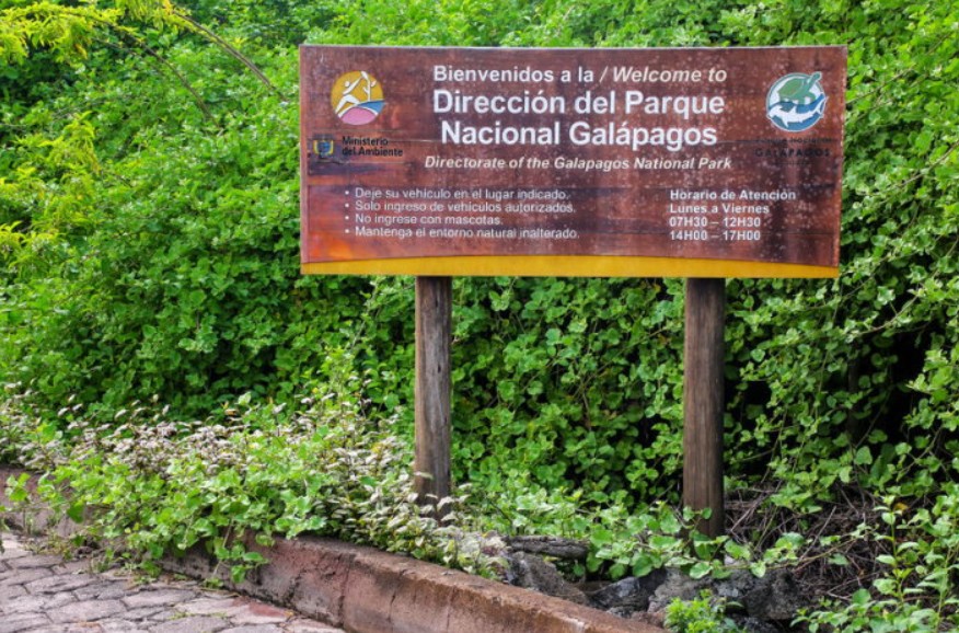 galapagos on a budget
